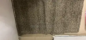Center Rug