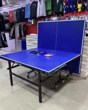 Outdoor Table Tennis 🏓