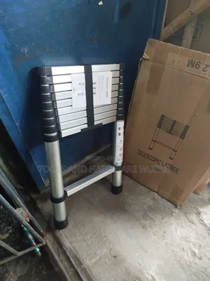 2.9m Telescopic Ladder