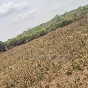 Farmland in Ibadan
