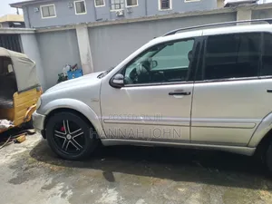 Mercedes-Benz M Class 2003 Silver