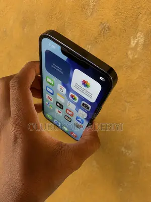 Apple iPhone 13 Pro 1 TB Blue