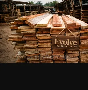 Woody Plywood