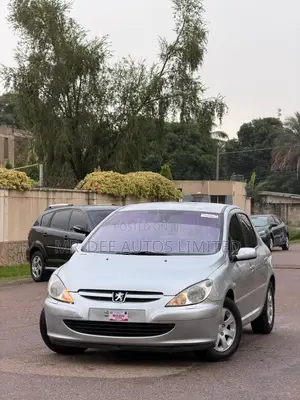 Peugeot 307 2007 Silver