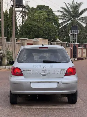 Peugeot 307 2007 Silver