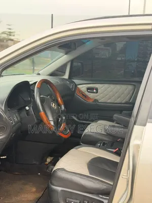 Lexus RX 2002 Gray