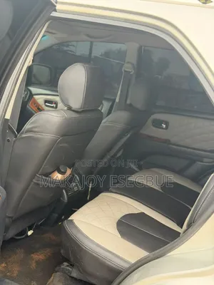 Lexus RX 2002 Gray