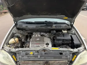 Lexus RX 2002 Gray