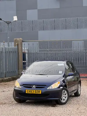 Peugeot 307 2007 Blue