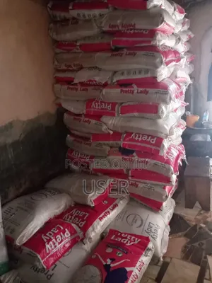 Bag of Rice