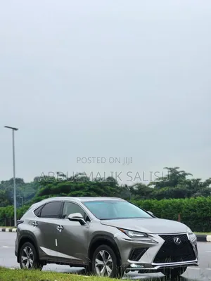 Lexus NX 2017 Gray