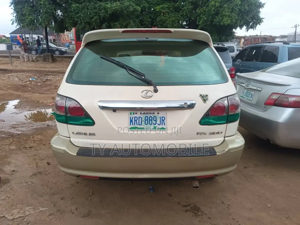 Lexus RX 2003 White