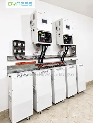 16.07kwh Dyness Lithium Battery (Power Brick Max)