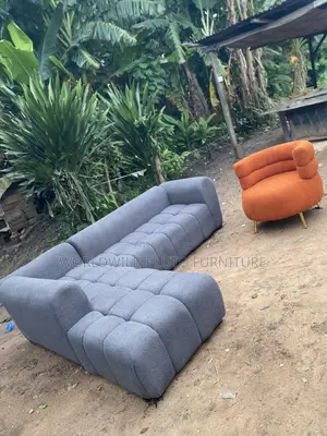 This Is L Shape Sofas and One Single