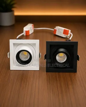 Adjustable Spot Lights, Track Light