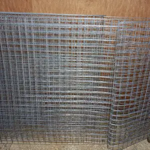 Galvanized Wire Mesh
