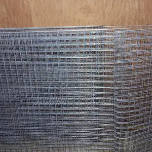 Galvanized Wire Mesh