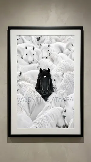 Home Made Frame