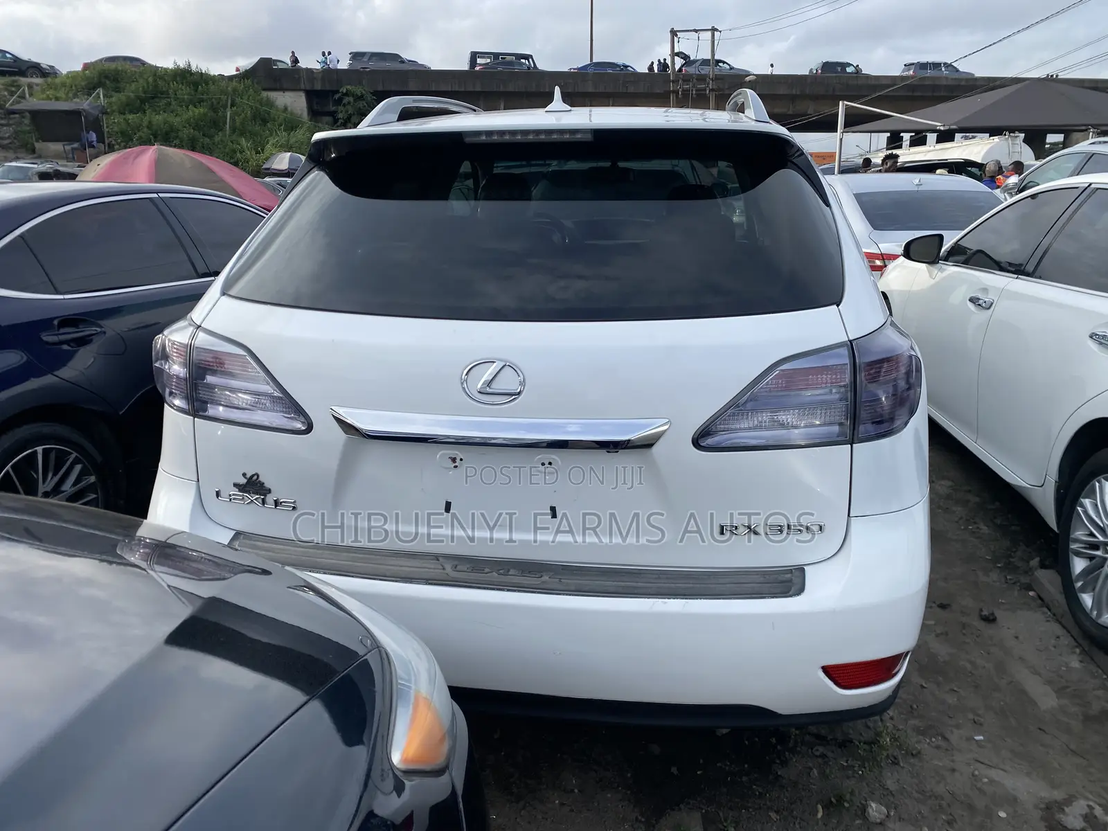 Lexus RX 2011 White