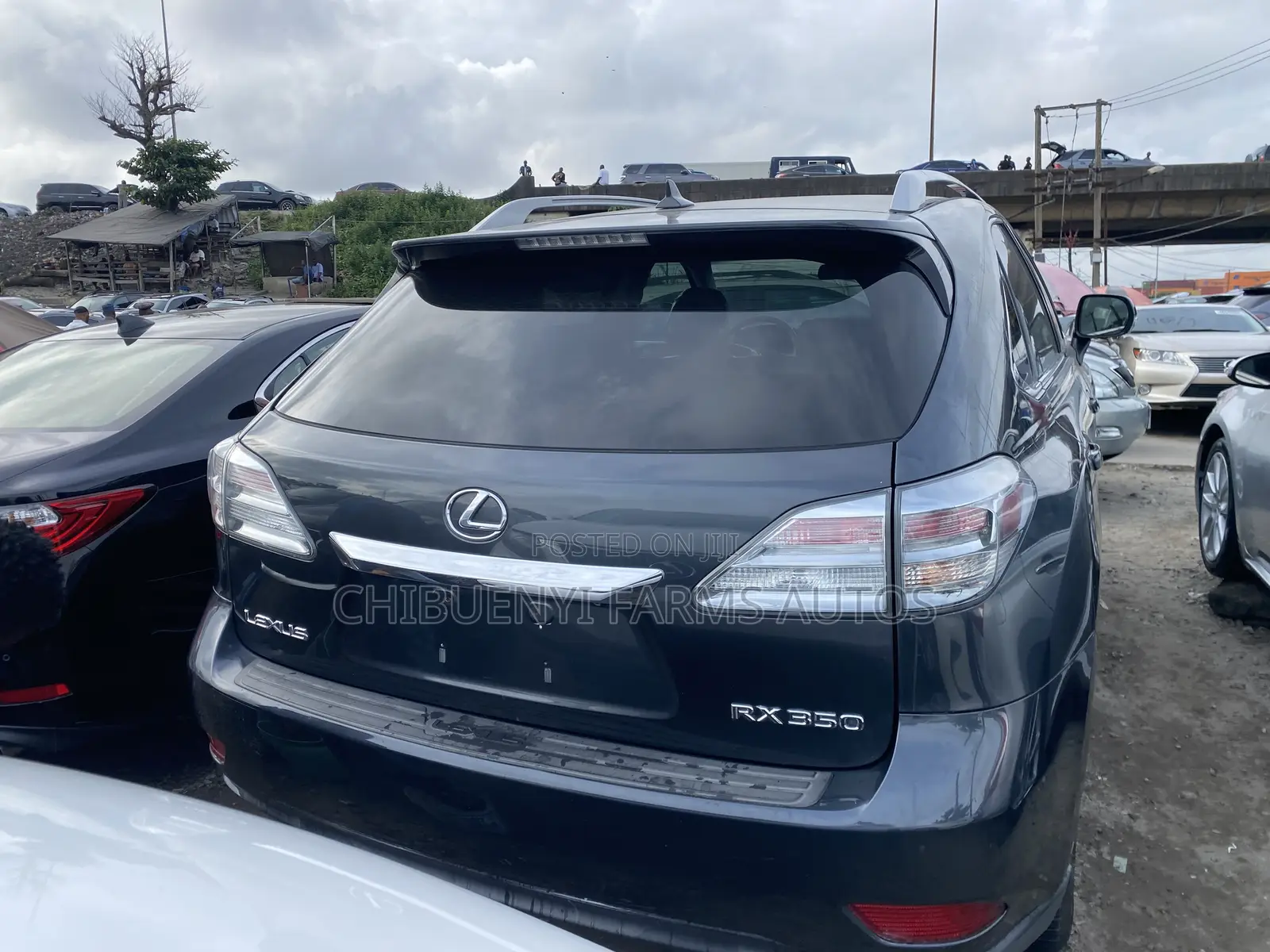 Lexus RX 350 2010 Gray