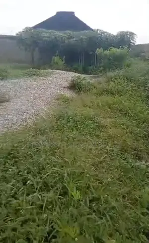 Dry Land for Sale in Abule-Ado