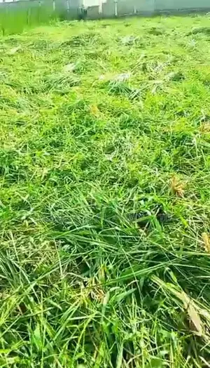 Land for Sale in Abule-Ado - Half-Plot