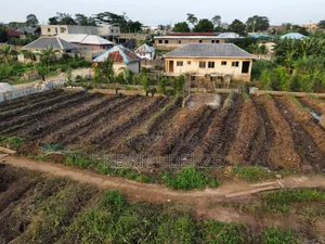 A Plot of Land