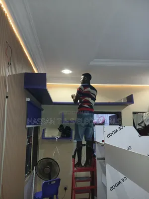 Professional Electrician