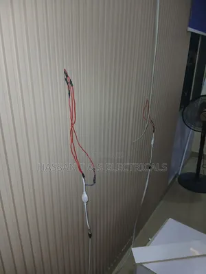 Professional Electrician