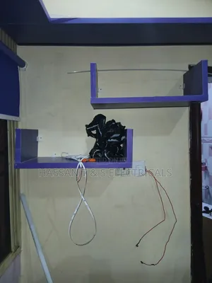 Professional Electrician