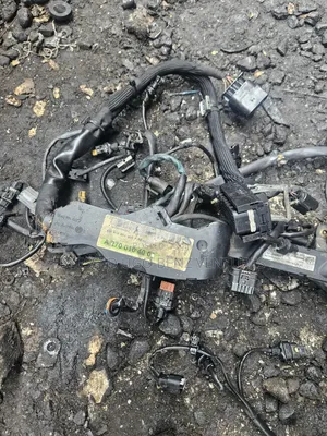 Complete  Set of Engine  Wires 270