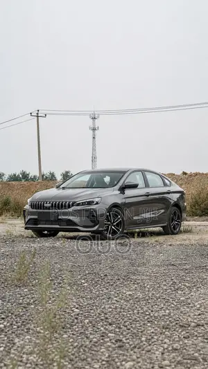 Geely EX5 2024 Gray