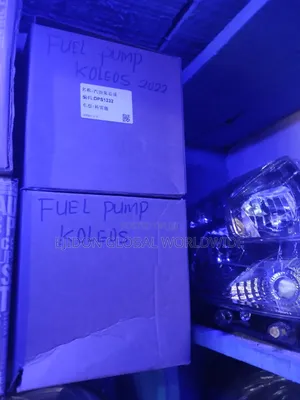 Fuel Pump Renault Koleos 2022 2023 2024