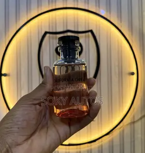 Louis Vuitton California Dream