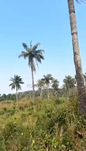 Land for Sale