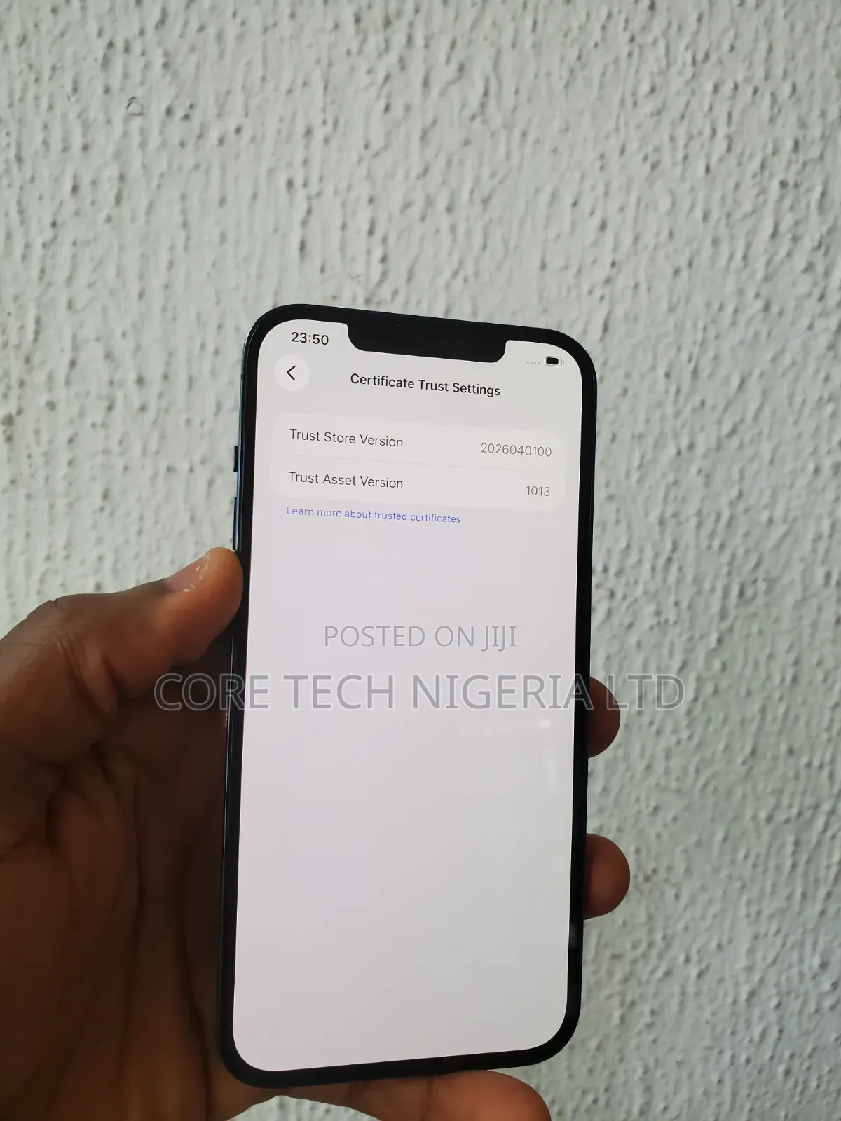 Apple iPhone 12 Pro Max 256 GB Blue