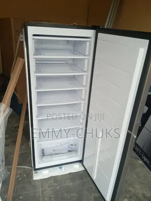 Ice Upright Standing Freezer Bruhm Inverter