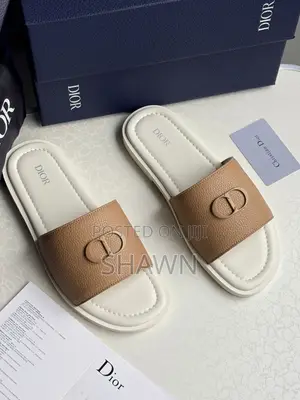 Christian Dior Luxury Slippers