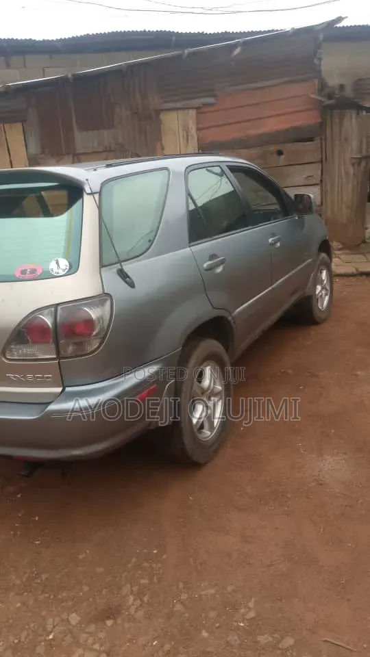 Lexus RX 2002 Silver