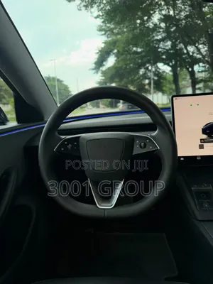 Tesla Model 3 2024 Black