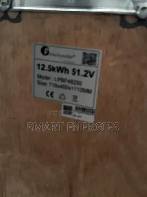 12.5kwh Felicity Lithium Ion Battery