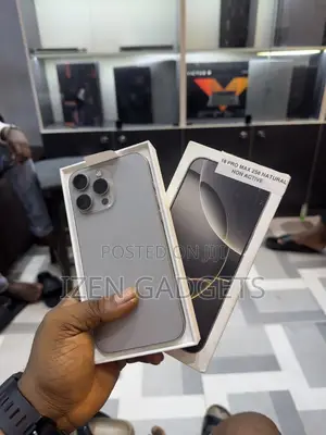 Apple iPhone 16 Pro Max 256 GB Gray