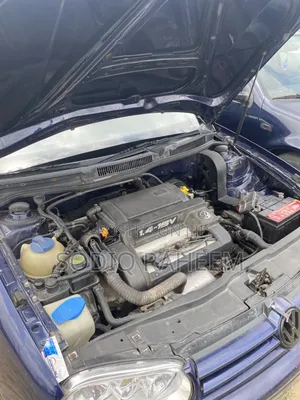 Volkswagen Golf 2002 Blue