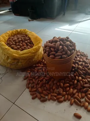 Bitter-Kola Is Available in Paint and Bags @Wholesale Price.