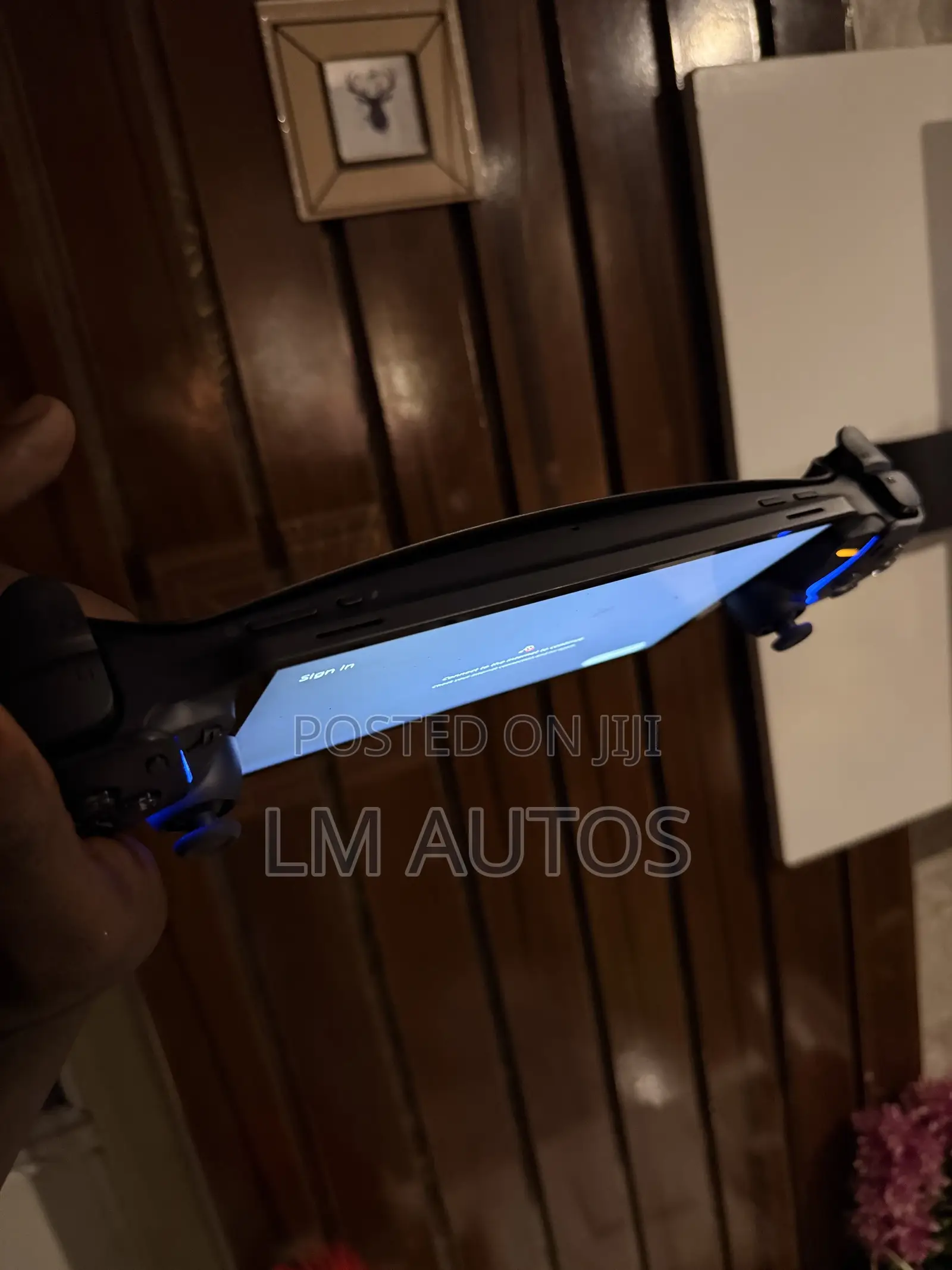 PlayStation Portal