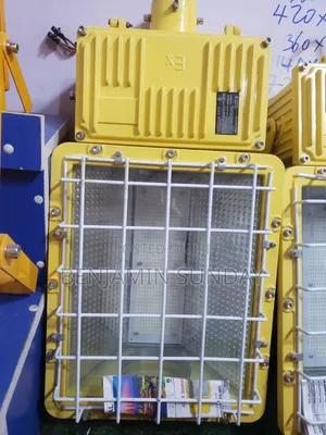 Explosion Proof Flood/Street Light LED