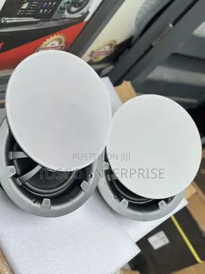 Two Way JBL Ceiling Speaker Hybrid