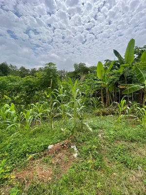 9 Plots of Land Available for Sale at Arapaja Ibadan. 1min to Road