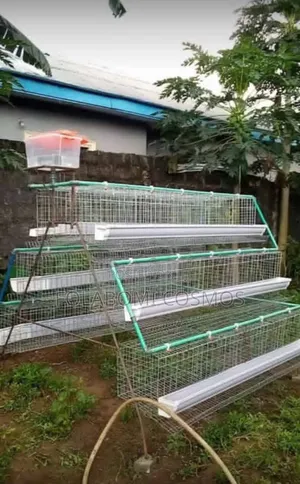 Battery Cages for Layers Birds