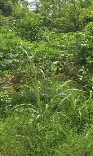 2 Plot of Land for Sale at Ijoka Akure